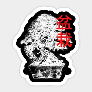 White Bonsai Sticker